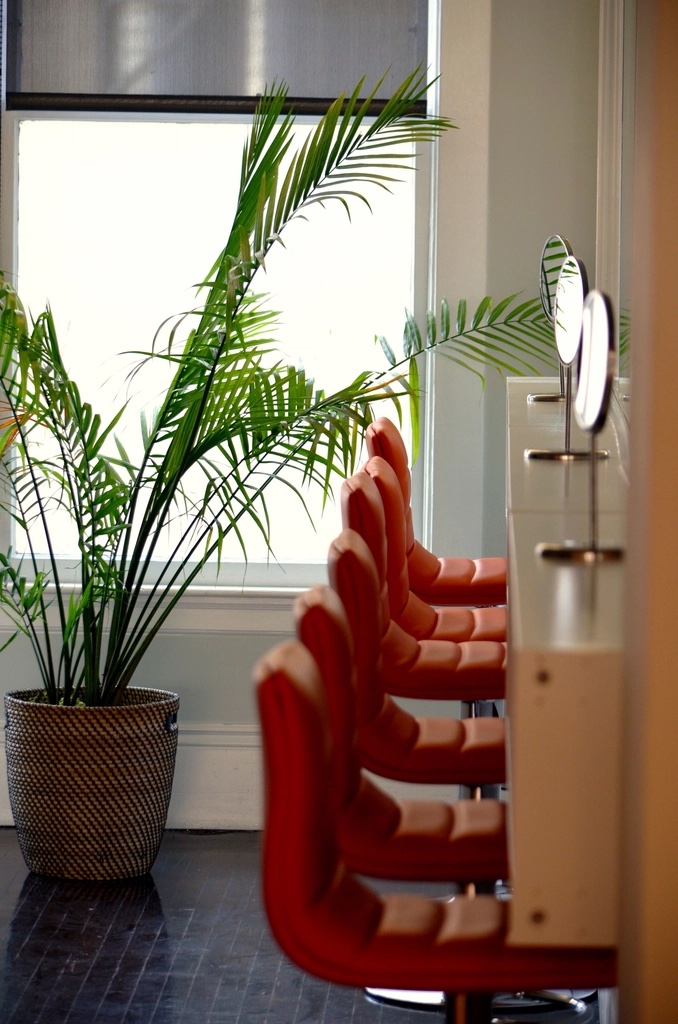 Sillones rojos y plantas en un salón